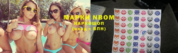 тгк Пестово