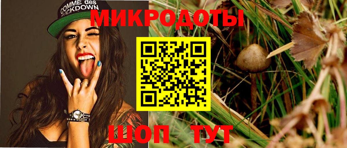 Богородск  Галлюциногенные грибы MAGIC MUSHROOMS  Вход с VPN  Галлюциногенные грибы GOLDEN TEACHER 