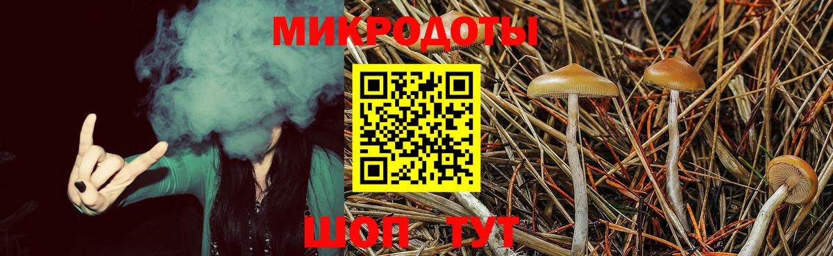 Псилоцибиновые грибы MAGIC MUSHROOMS Богородск