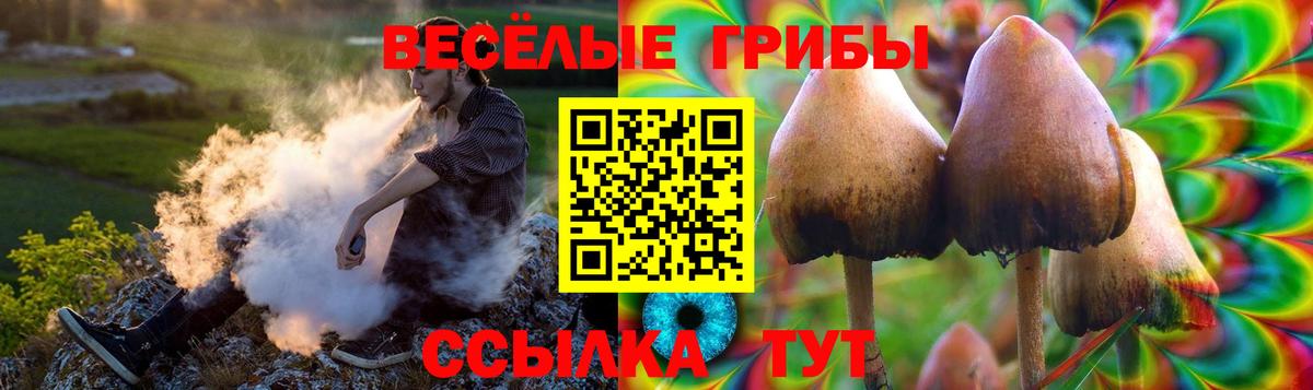 Галлюциногенные грибы прущие грибы Богородск